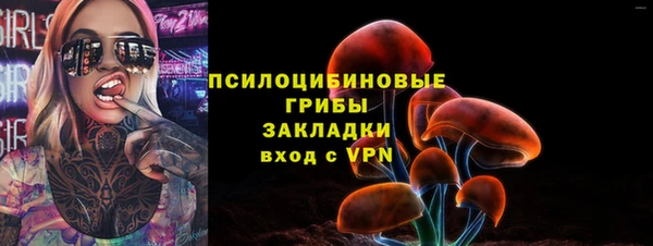 амф Ельня