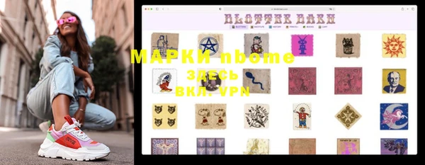 амф Ельня