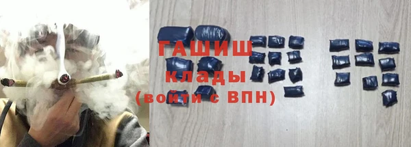 амф Ельня