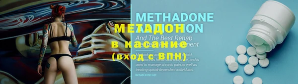амф Ельня