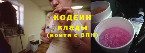 амф Ельня