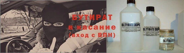 амф Ельня