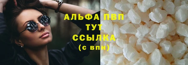 амф Ельня