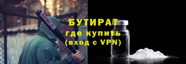 амф Ельня