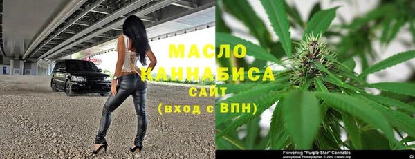 амф Ельня