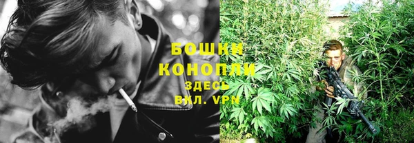 МДПВ Елабуга