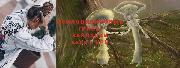 МДПВ Елабуга