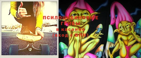 ALPHA PVP Елизово