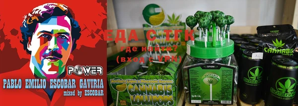 амф Ельня