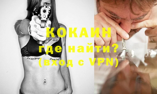 ALPHA PVP Елизово