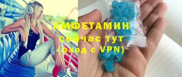 амф Ельня